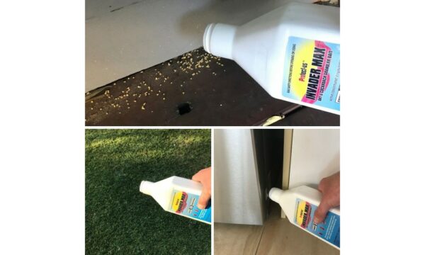 INVADER MAX Ant & Cockroach Bait