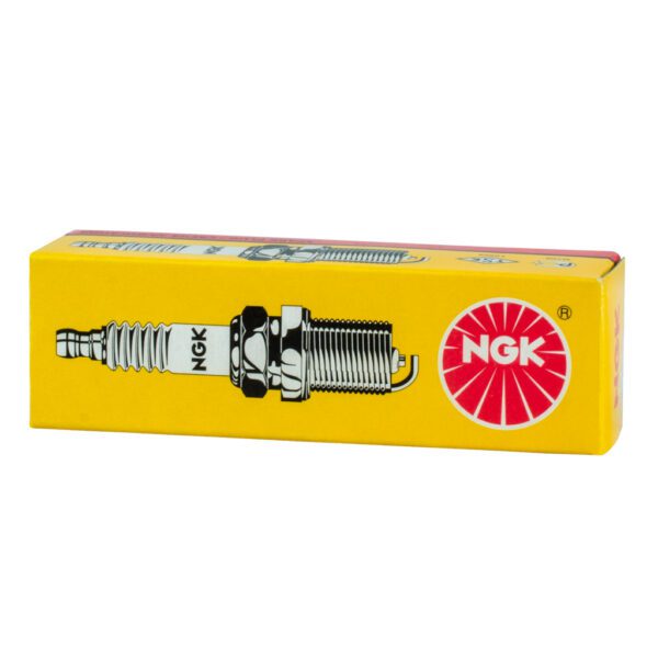 NGK Spark Plug 5165