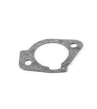 Gasket- Air Intake