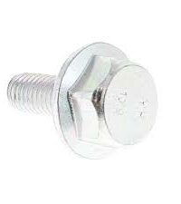 Hex Screw LH Thread