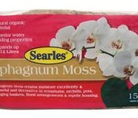 SEARLES SPHAGNUM MOSS 150G