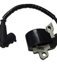 Ignition Module