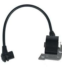 Ignition Module