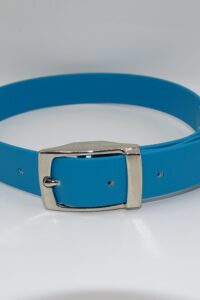 DOG COLLAR N/P MEDIUM 35-45CM LAGUNE BLUE