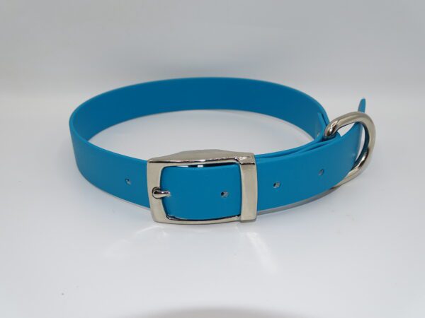 DOG COLLAR N/P MEDIUM 35-45CM LAGUNE BLUE