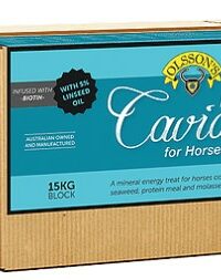 OLSSONS BLUE CAVIAR EQUINE BLOCK 16KG