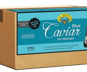 OLSSONS BLUE CAVIAR EQUINE BLOCK 16KG