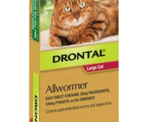 DRONTAL CAT TABLET 6KG 2PK
