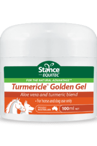 STANCE TURMERICLE GOLDEN GEL 100ML