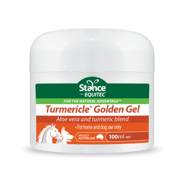 STANCE TURMERICLE GOLDEN GEL 100ML