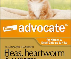 ADVOCATE KITTENS/CATS UP TO 4KG 3PK