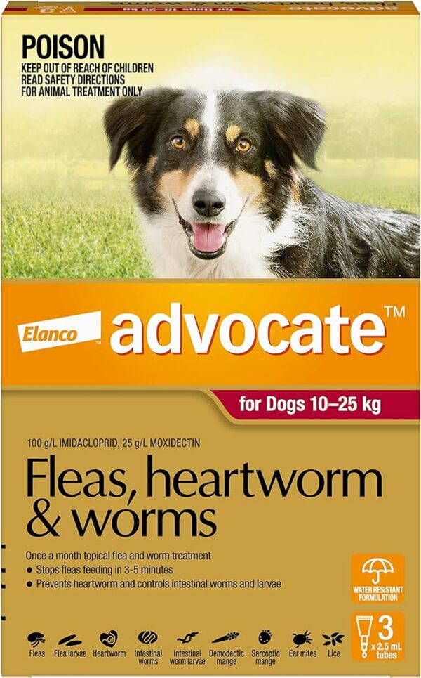ADVOCATE DOG XL OVER 25KG 3PK