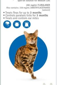 BRAVECTO SPOT ON CAT 2.8-6.25KG (BLUE)